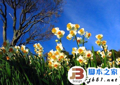 怎样看电脑屏幕对眼睛好,是俯视电脑屏幕还是