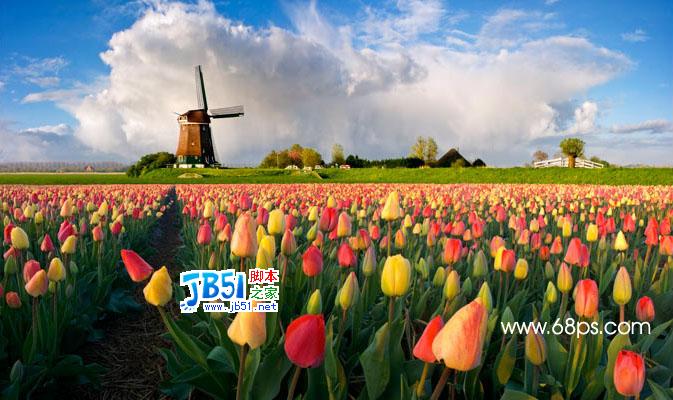 Photoshop把<em>照片处理</em>成<em>油画</em>效果_脚本之家