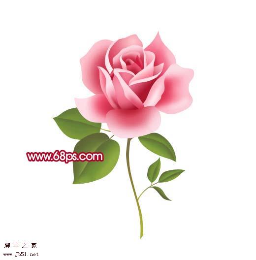 Photoshop 一朵粉红色的卡通玫瑰花