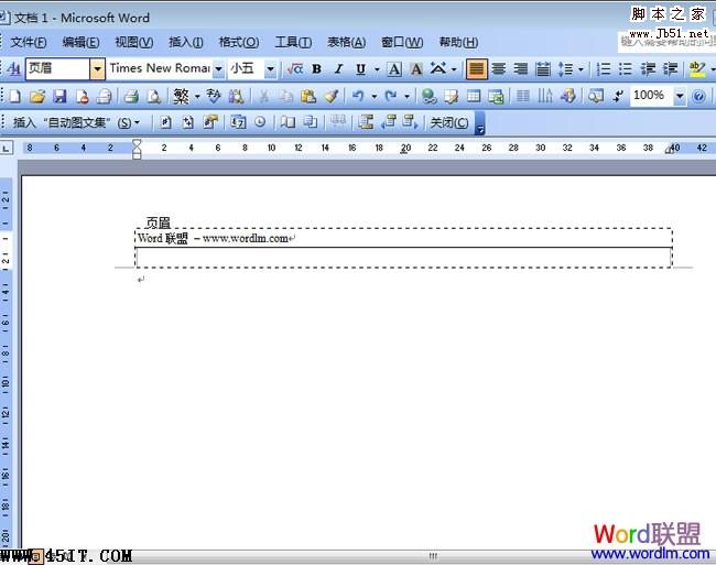 Word 2003中去掉和添加横线页眉页脚横线的方