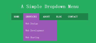 CSS3ʵֵĻվ˵ЧԴ
