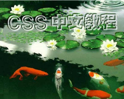CSS中文教程 CSS入门书 EXE格式电子书 电