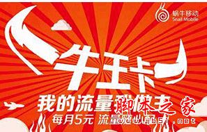 为什么联通大王卡不能用话费购