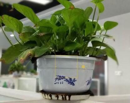 OPPO手机怎么显示实时网速?OPPO手机显示