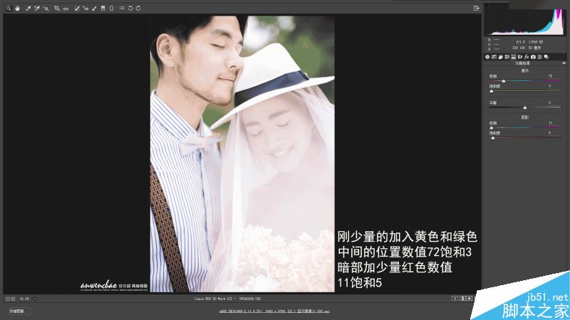 Photoshop调出外景婚纱照片甜美暖色效果,PS教程,思缘教程网