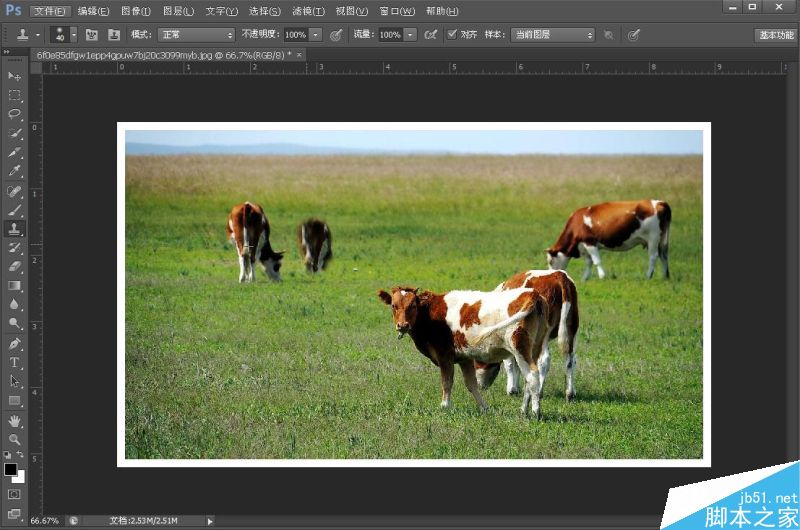 PS中仿制图章工具有什么作用?仿制图章工具使