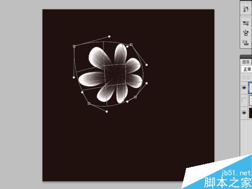 ps绘制一朵漂亮的花朵