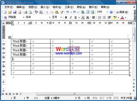 Word2003文档中如何将一个表格拆分成两个表