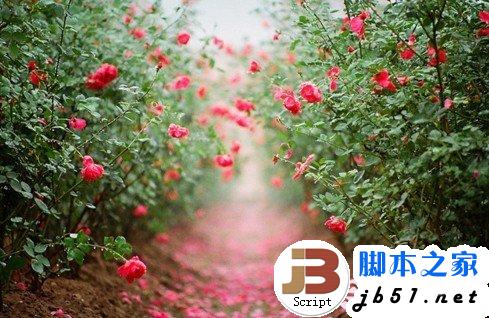 电脑族怎样保护眼睛 常用电脑须学会的九个保