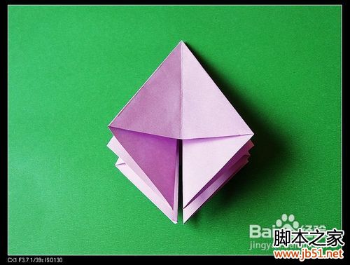 百合花的折法,百合花的折法图解_新手学堂