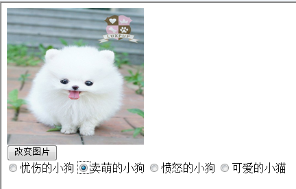 Example of js transform display image_javascript skills