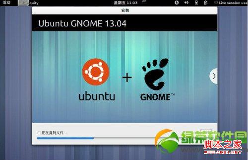 ubuntu13.04友帮拓系统安装过程图文分解_系统