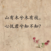 经典个性文字头像+心有猛虎