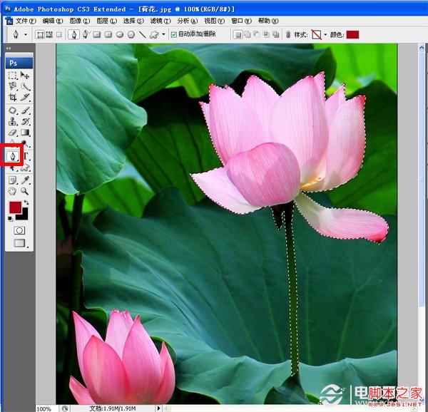 如何使用PS虚化背景突出主体 Photoshop高斯