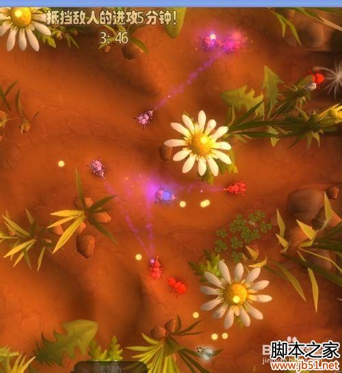 虫虫大作战超强简单快速通关游戏攻略--防御任