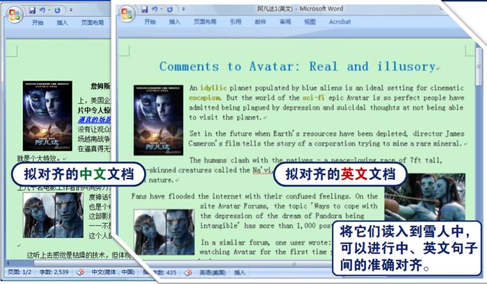 雪人翻译软件中法版(中法翻译) v1.36绿色版