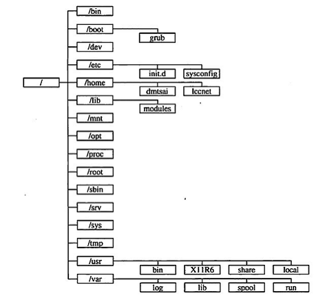 linux directory tree