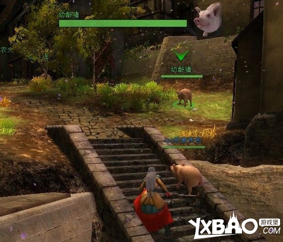 激战2游侠宠物去哪里捕抓_激战2游侠所有宠物