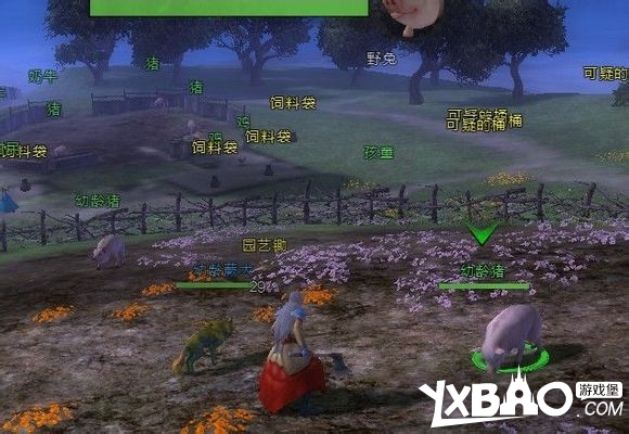 激战2游侠宠物去哪里捕抓_激战2游侠所有宠物