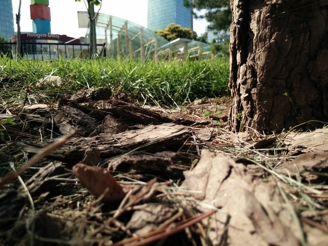 旋转4G至美一拍 OPPO N1 mini拍照评测