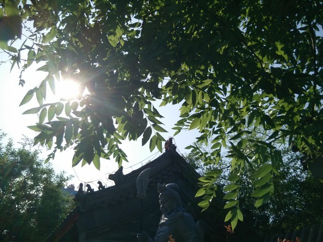 旋转4G至美一拍 OPPO N1 mini拍照评测