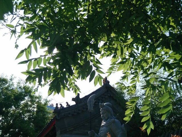 旋转4G至美一拍 OPPO N1 mini拍照评测