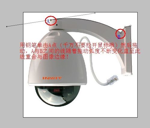 菜鸟必学：如何利用PS中的钢笔抠图？