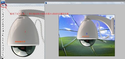 菜鸟必学：如何利用PS中的钢笔抠图？
