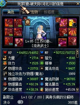 dnf流浪武士装备选择个人心得_网络游戏