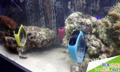 ȫ׿Ű˺LTE Cat6 Ϊҫ6