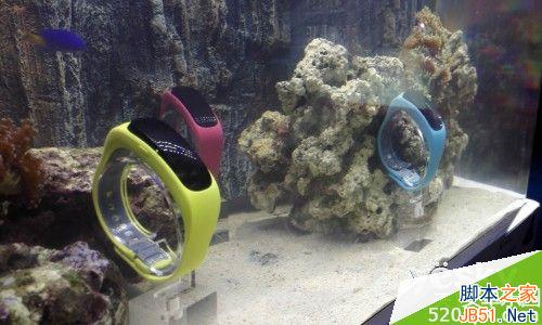 ȫ׿Ű˺LTE Cat6 Ϊҫ6