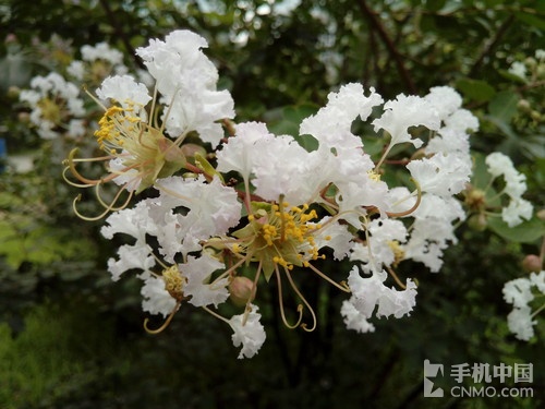 ȫ�������������ǿ�� ������I908���� 