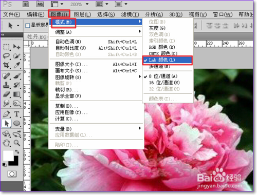 PS怎么用通道抠图？ps通道抠图方法图解