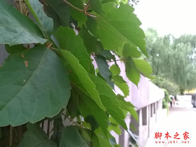 4GLumia 638 WP8.1Եв