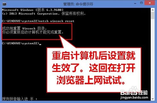win8升级8.1浏览器无法打开网页