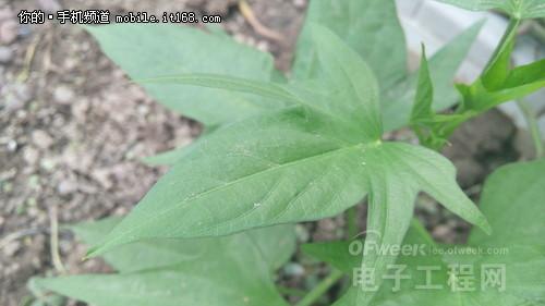 ɱ4/С4 ǧԪɴF2¡صǳͼ飩