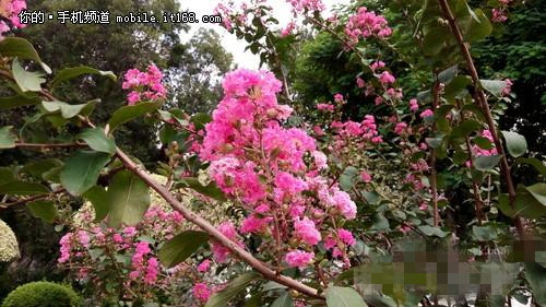 ɱ4/С4 ǧԪɴF2¡صǳͼ飩