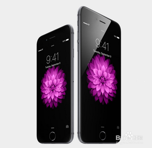 iPhone6 Plus港版怎么预定? 苹果6港版淘宝预