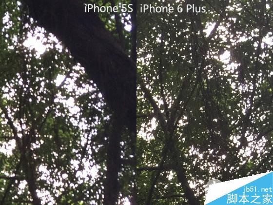 更具逼格 iPhone6 Plus与iPhone5s拍照效果图片对比