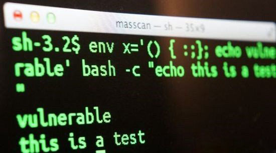 Bash是什么以及Bash是什么意思?_电脑常识_