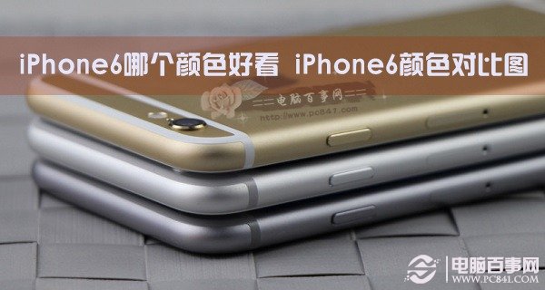 苹果iPhone6哪款颜色好看?iPhone6颜色对比图