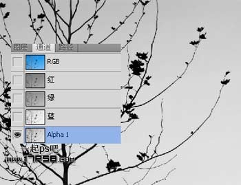 Photoshop抠图教程:通道和计算命令抠图实例