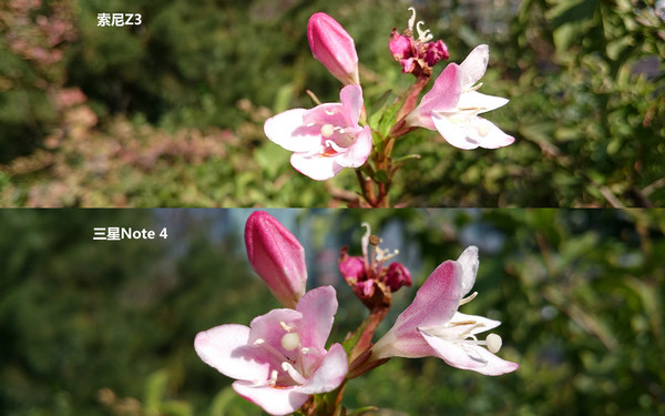 相机技术哪家强?索尼Z3对比三星Note 4