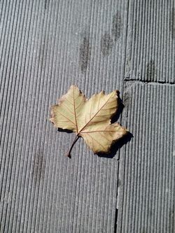 神舟灵雅x55和红米note 4g哪个好