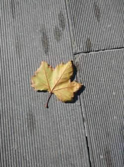 神舟灵雅x55和红米note 4g哪个好