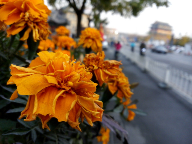 妈妈再也不担心我自拍了 酷比H1S全面评测