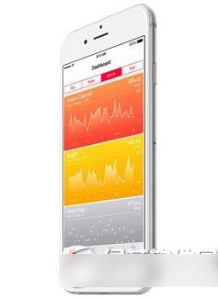 电池6电池耐用?iphone6苹果用多久?_苹果iphone7v电池图片
