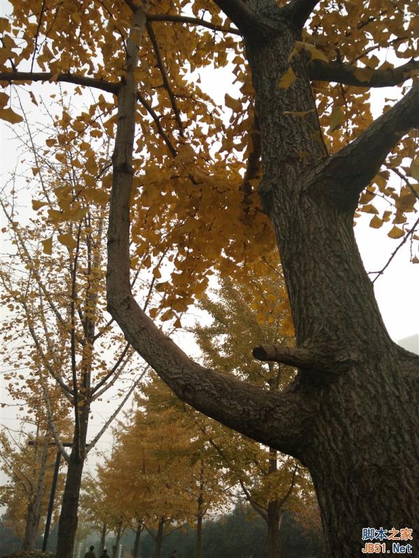 5V/5A:充电速度逆天!OPPO N3全面评测