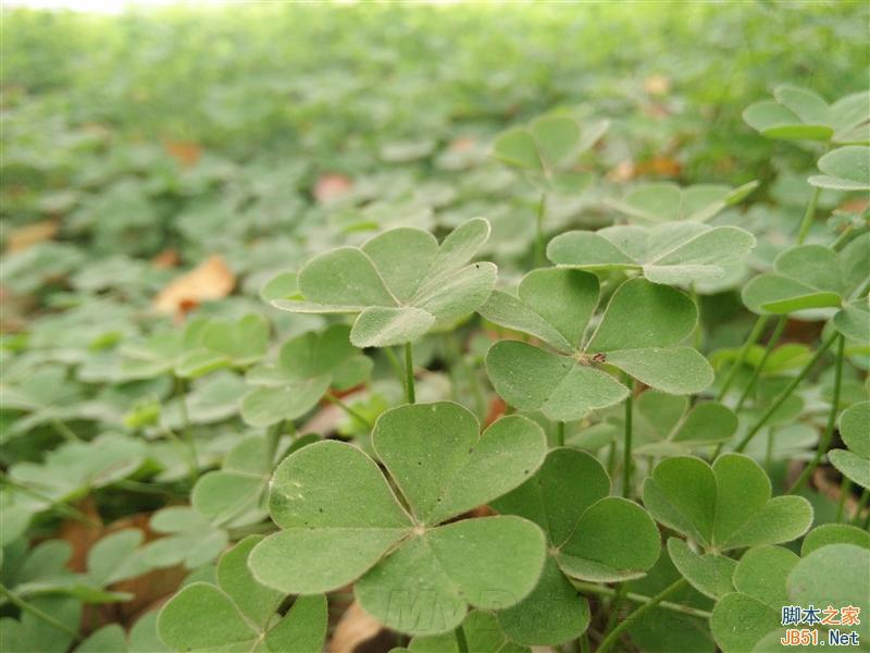 5V/5A:充电速度逆天!OPPO N3全面评测