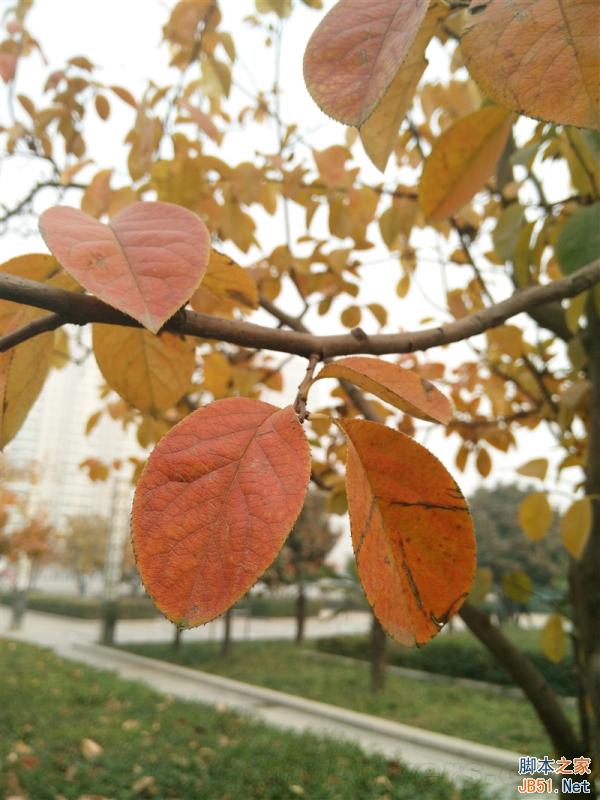 5V/5A:充电速度逆天!OPPO N3全面评测